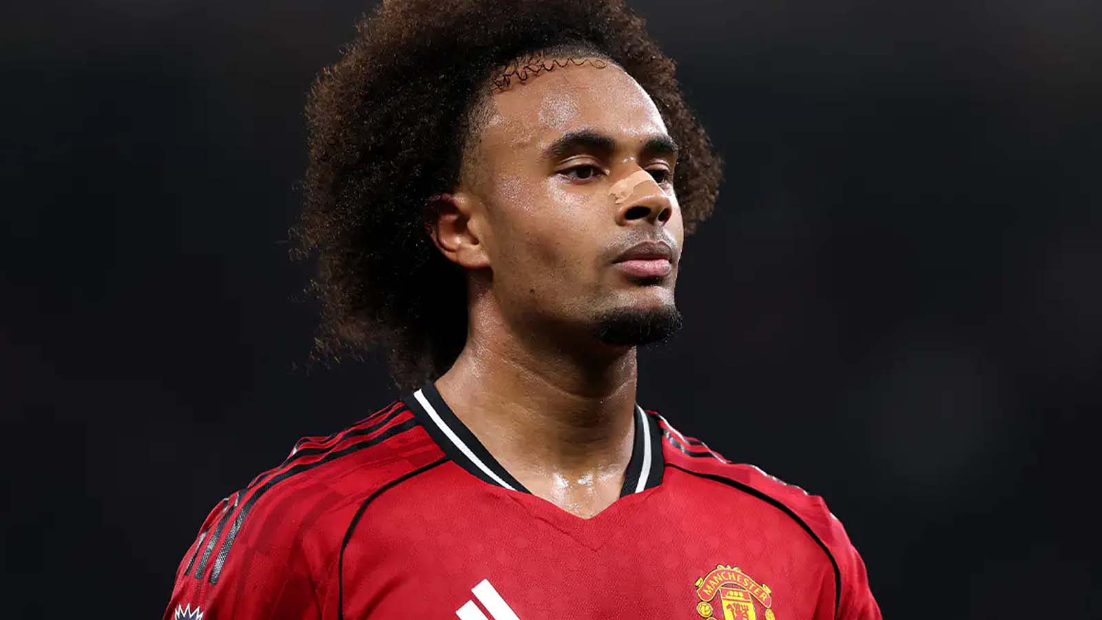 ./backend/uploads/article-img/ปีศาจแดงอาจได้ตัวแทนที่สมบูรณ์แบบของโจชัว เซิร์กซี ในช่วงซัมเมอร์นี้ ด้วยดีล 34.5 ล้านปอนด์ที่ เป็นไปได้